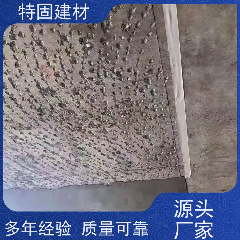 聚合物防水砂浆 高流态耐腐蚀 工厂供应 发货及时 特固新型建材