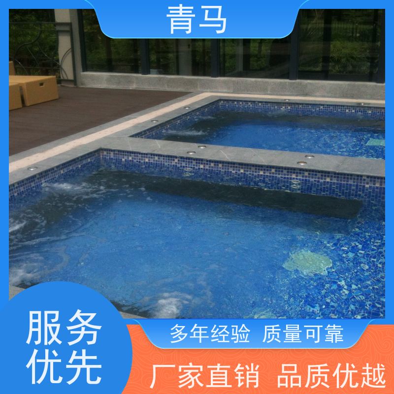 青马 成人泳池 适用于健身俱乐部 设计 施工 维护 一站式服务