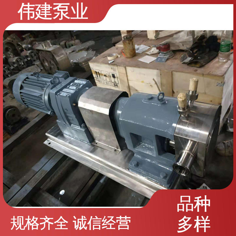 伟建定制 稳定推送 灌装机转子泵 耐腐蚀易清洁