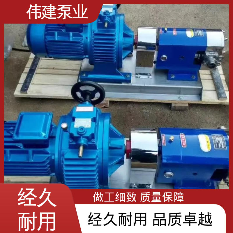 运行噪音小 防漏设计 鲅鱼馅灌装泵 碳素合金钢材质 伟建供应