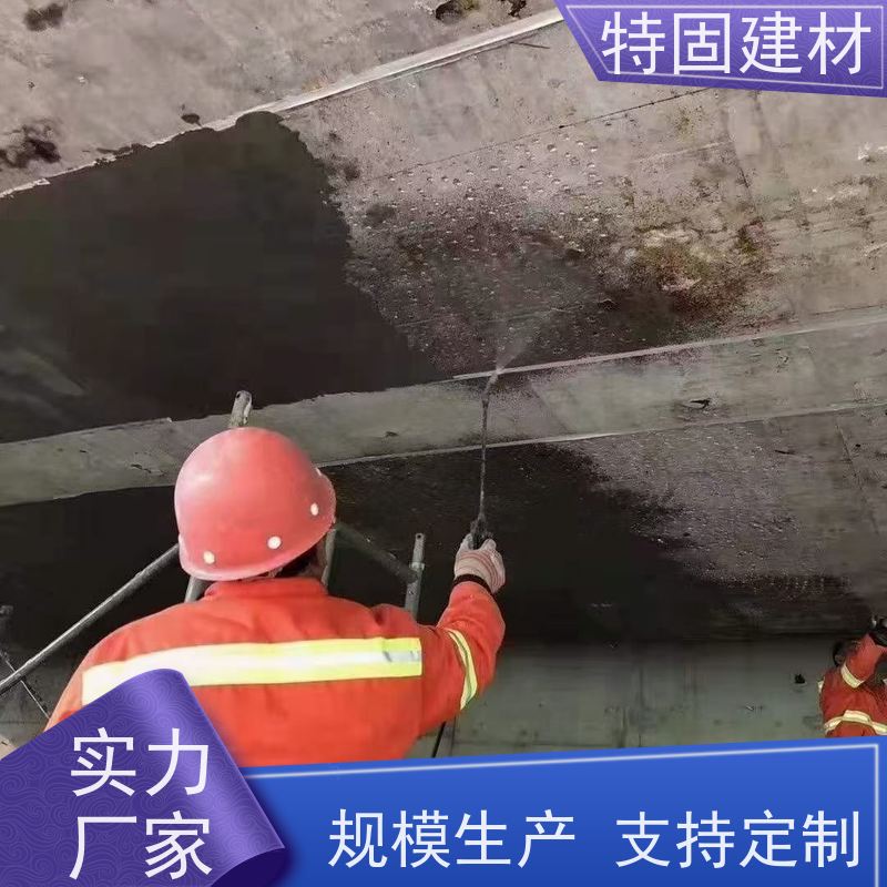 修补加固防水砂浆 高强度抗压 厂家直供 特固建材