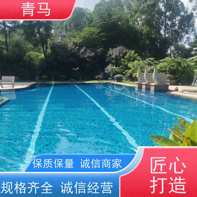 青马 公共泳池 适用于星级酒店 按需定制 免费测量