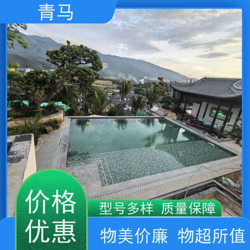 青马 恒温游泳池 适用于体育馆 现代简约 多种颜色