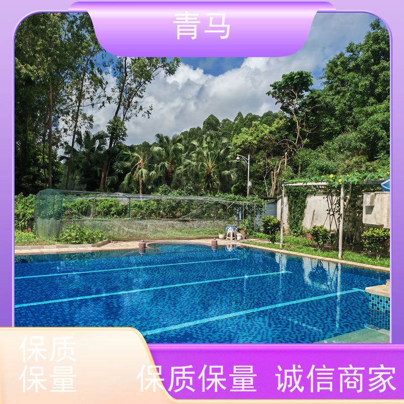 青马 无边游泳池 适用于温泉度假村 按需定制 免费测量