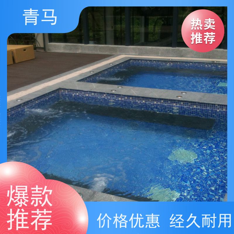 青马 成人游泳池 适用于小区民宿 设计 施工 维护 一站式服务