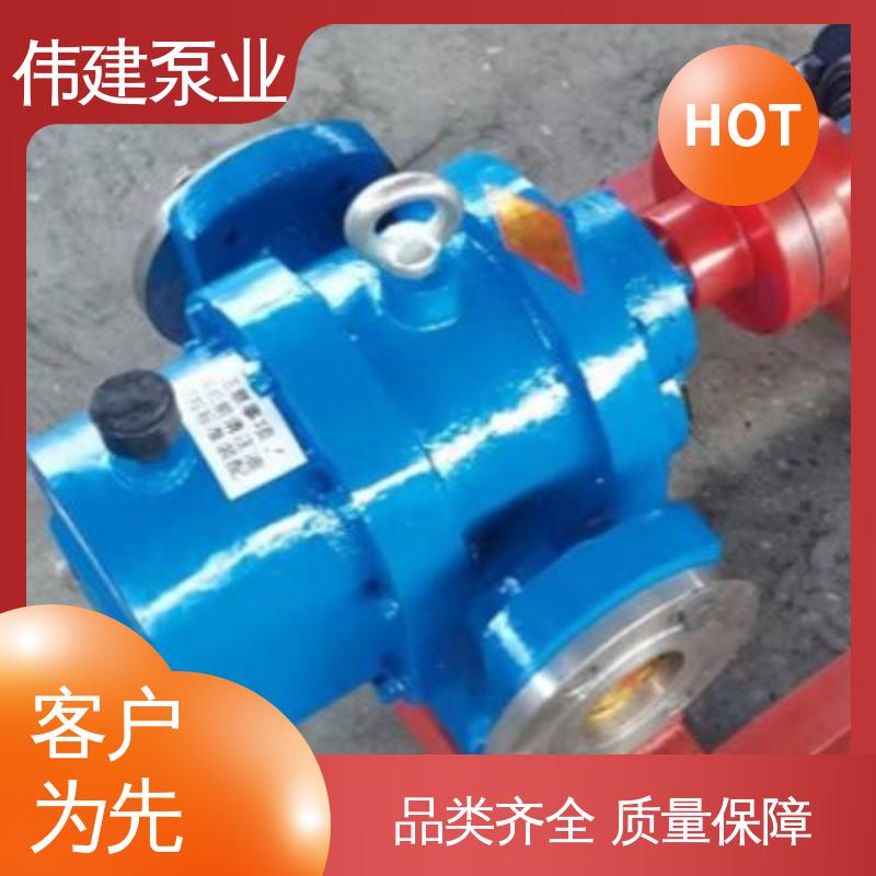 高粘度罗茨泵 支持定制 噪音小体积小 伟建供应
