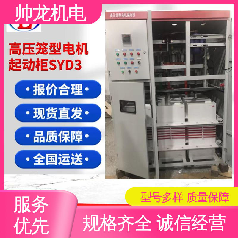 性能稳定 反应迅速 满足不同客户需求 笼型/鼠笼电机 高压起动器 宁 夏