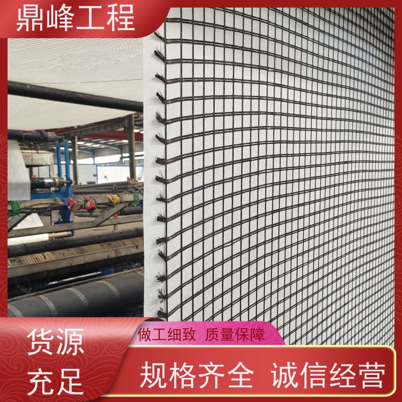 经编玻璃纤维土工格栅 抗撕裂强度大 热稳定性可靠