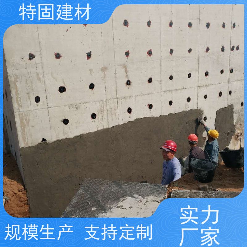 防水防腐砂浆 防渗透耐酸碱 免费指导 源头工厂 特固新型建材