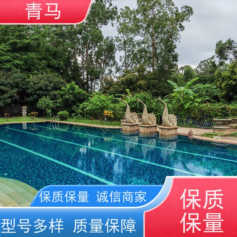 青马 温泉泳池 适用于体育馆 现代简约 多种颜色