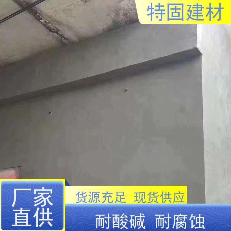 环氧树脂修补砂浆 高流态耐腐蚀 长期生产供应 特固建材