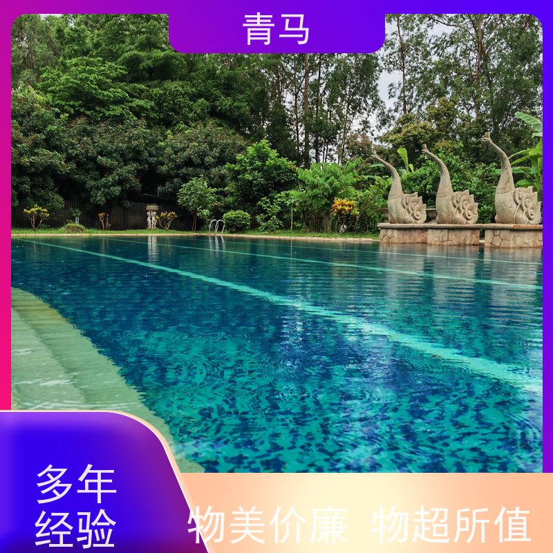 青马 无边游泳池 适用于体育馆 设计 施工 维护 一站式服务