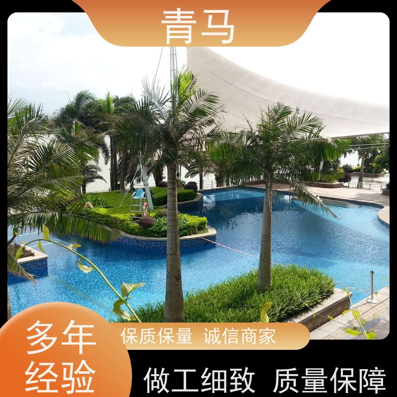 青马 别墅游泳池 适用于温泉度假村 现代简约 多种颜色
