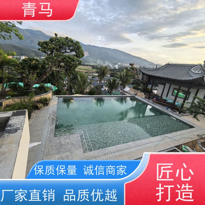 青马 无边泳池 适用于体育馆 设计 施工 维护 一站式服务