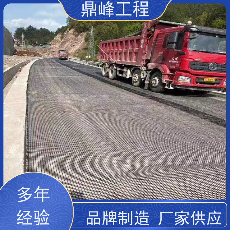 增强玻纤土工格栅 抗撕裂强度大 热稳定性可靠