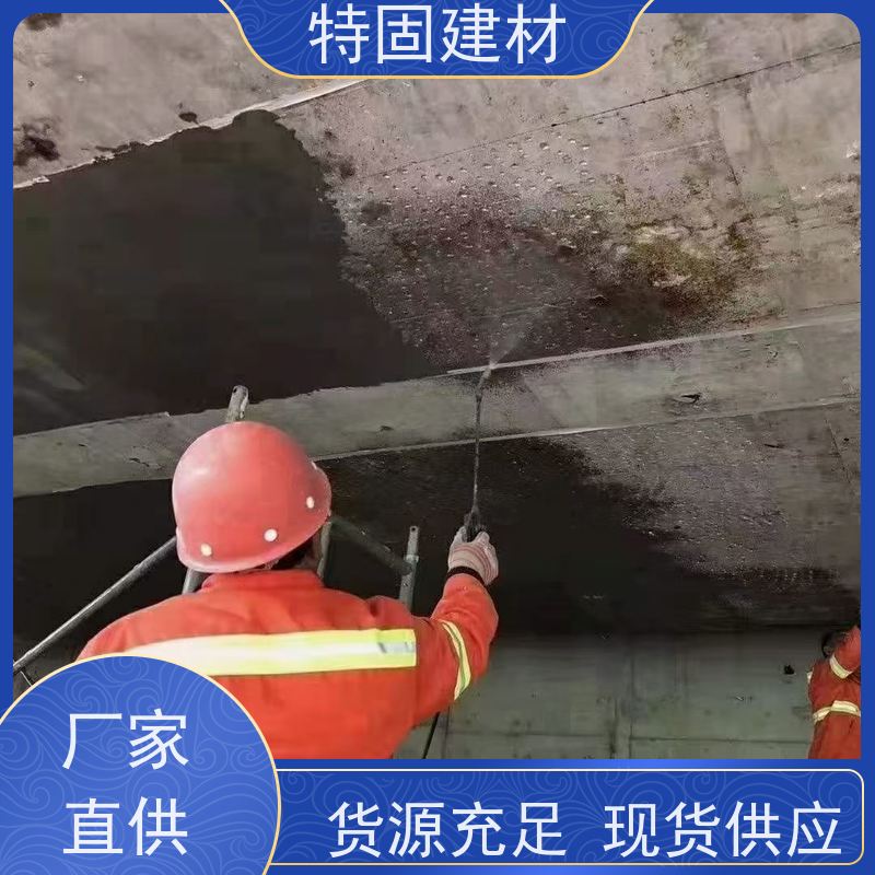 环氧树脂修补砂浆 适应性强 规格齐全 生产厂家 特固新型建材
