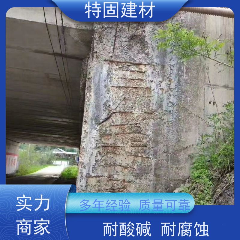 环氧树脂修补砂浆 抗渗性强 工厂供应 发货及时 特固新型建材