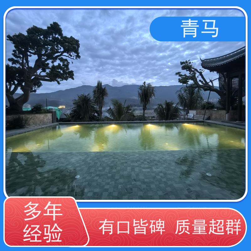 青马 豪华游泳池 适用于别墅 现代简约 多种颜色