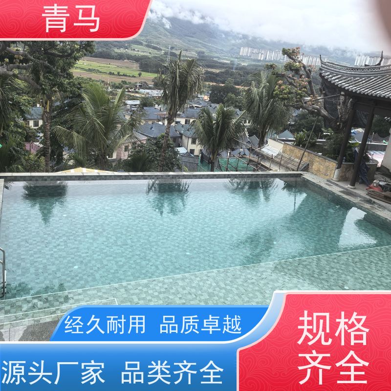 青马 户外泳池 适用于健身俱乐部 按需定制 免费测量