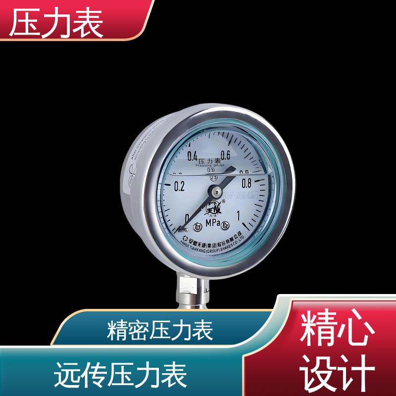 天康 Y-B 系列 电子压力表 精度适中 兼容性好 源头厂家 品类齐全