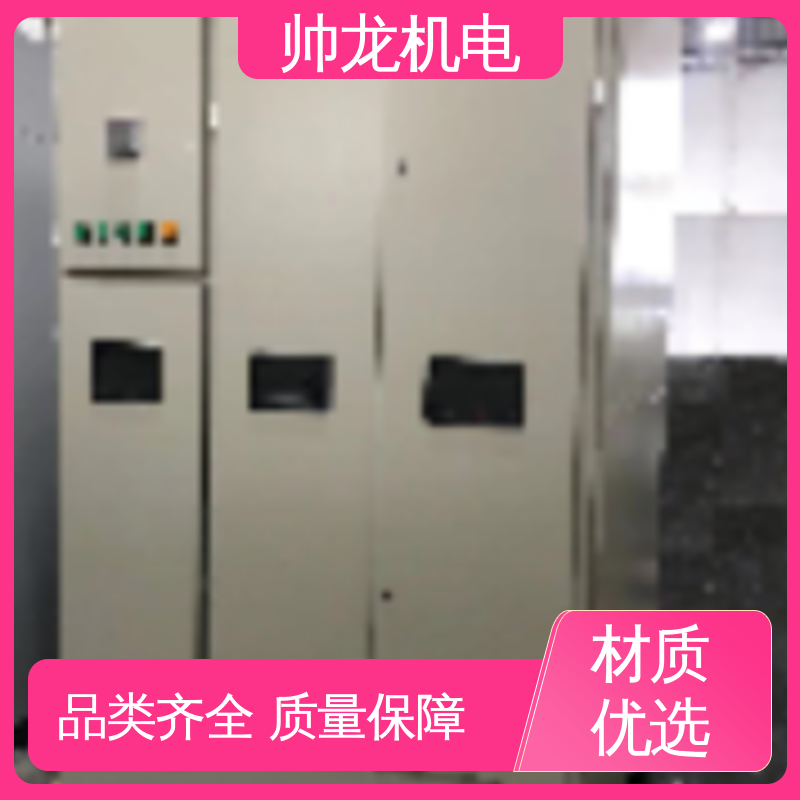 帅龙 大功率电机 启动控制柜 厂家供应 品牌制造 应用广泛 资质齐全