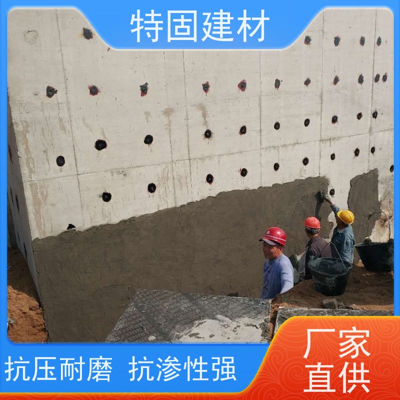 防水防腐砂浆 耐酸碱耐腐蚀 产地货源 常年供应 特固新型建材
