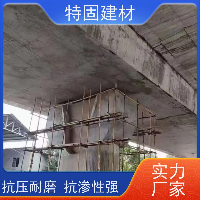 修补加固防水砂浆 耐酸碱耐腐蚀 产地货源 常年供应 特固新型建材