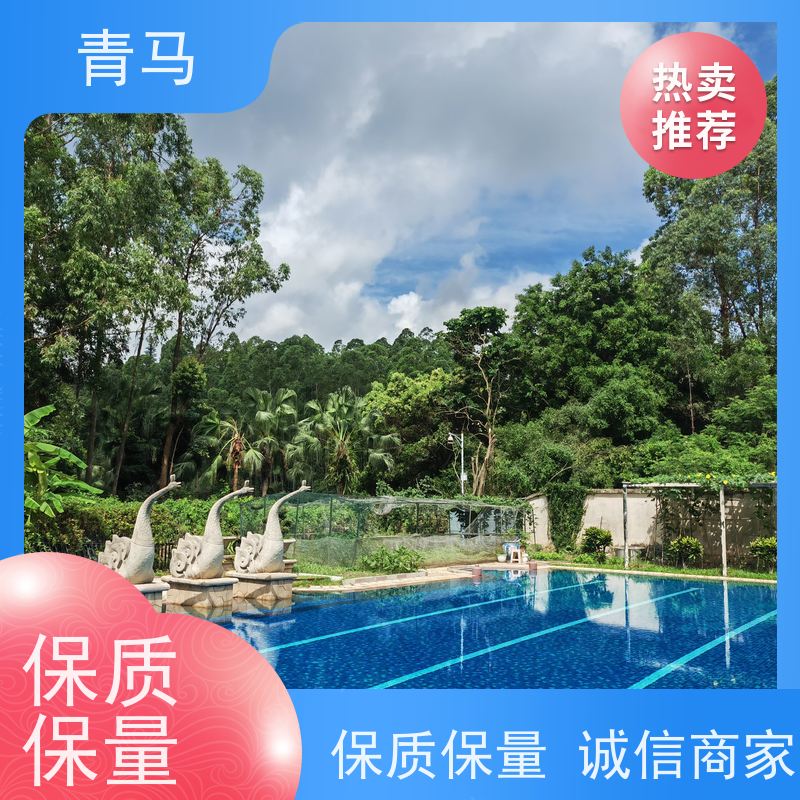 青马 豪华游泳池 适用于温泉度假村 设计 施工 维护 一站式服务