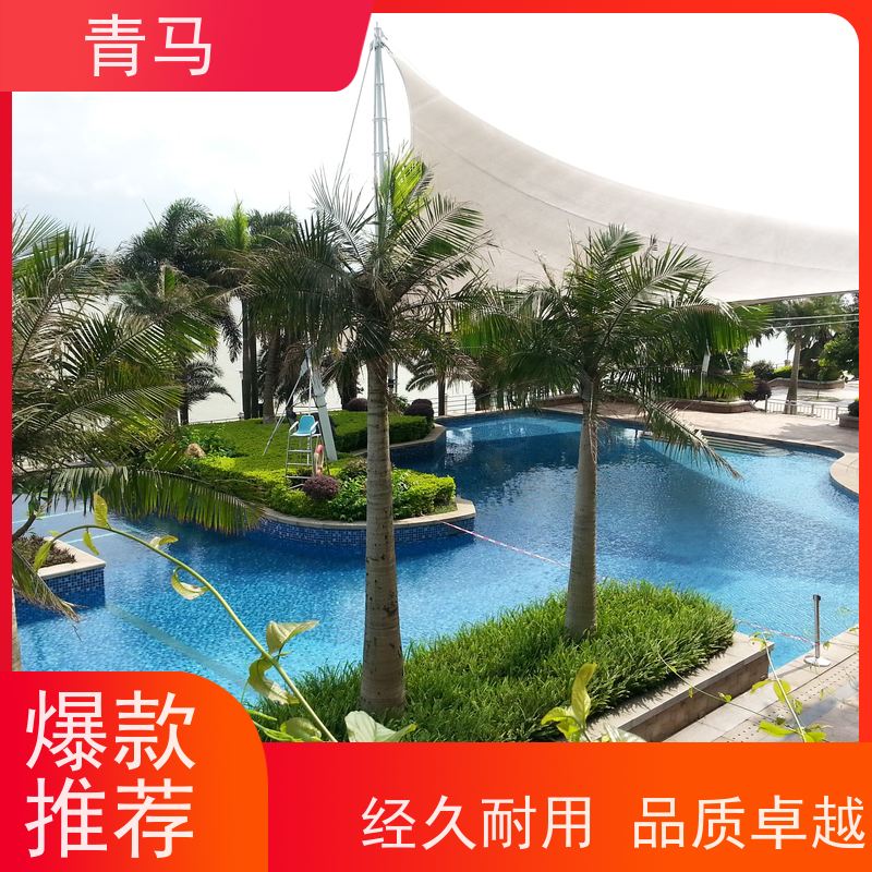 青马 酒店游泳池 适用于别墅 按需定制 免费测量