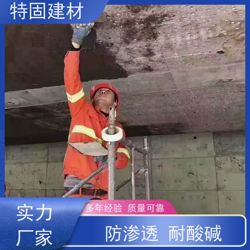 水性环氧树脂砂浆 墙面修补加固 规格齐全 生产厂家 特固建材