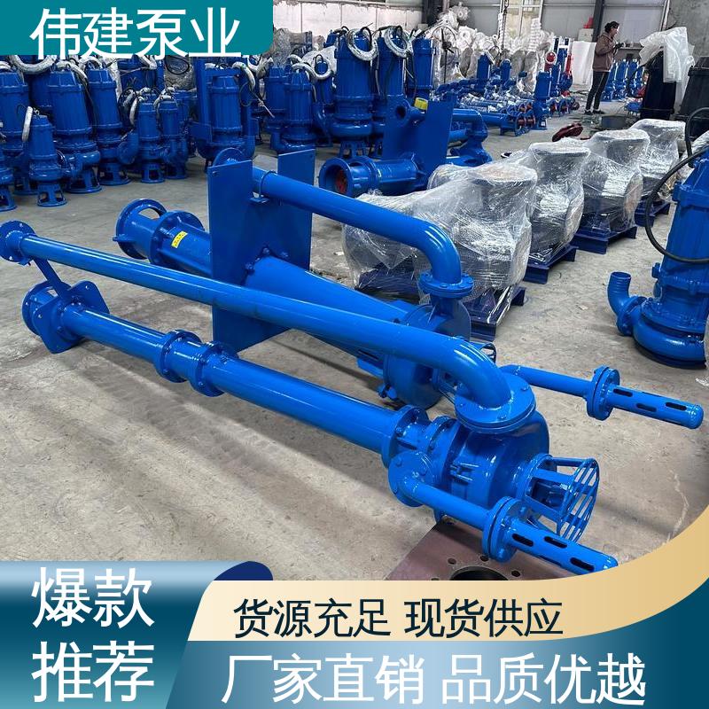 渣油泵 无泄漏效率高 煤焦油稠油用 电动抽油式 伟建供应
