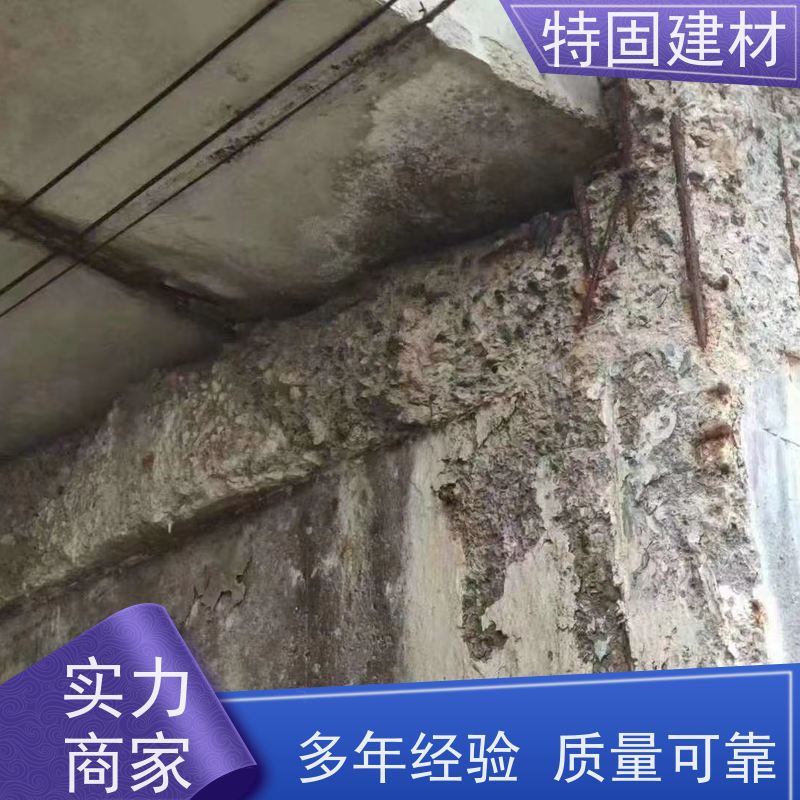 防水防腐砂浆 墙面修补加固 免费指导 源头工厂 特固新型建材