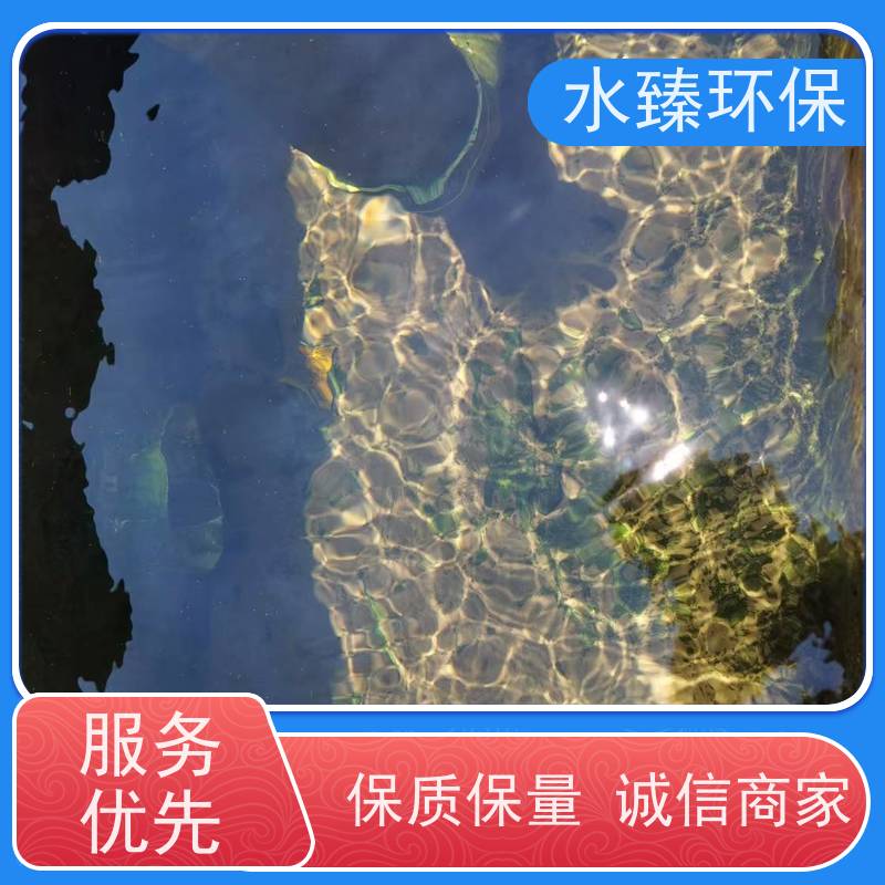 水臻环保 一体化设备 结实耐用 多年经验 适用于市政污水处理