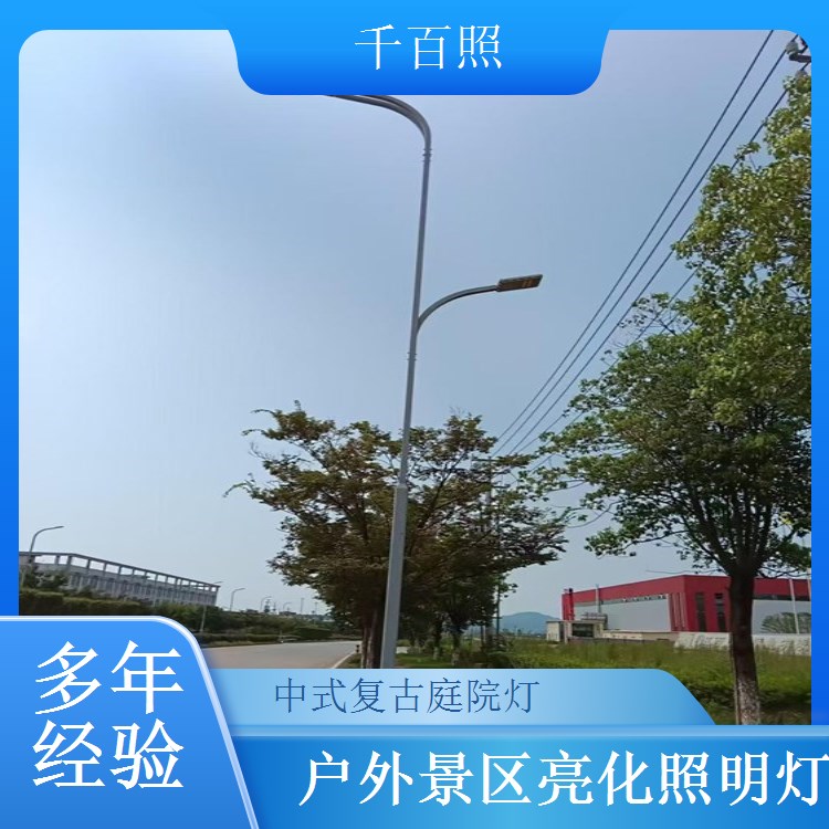 仿古庭院灯定制工程专用 复古中式景观灯户外道路亮化千百照