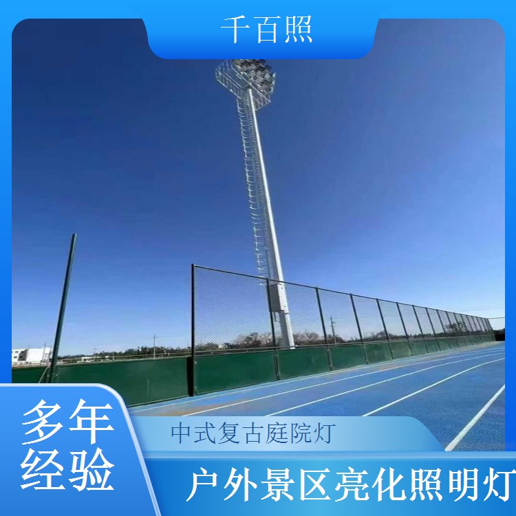 仿古庭院灯定制道路照明 中式复古庭院灯户外道路专用千百照