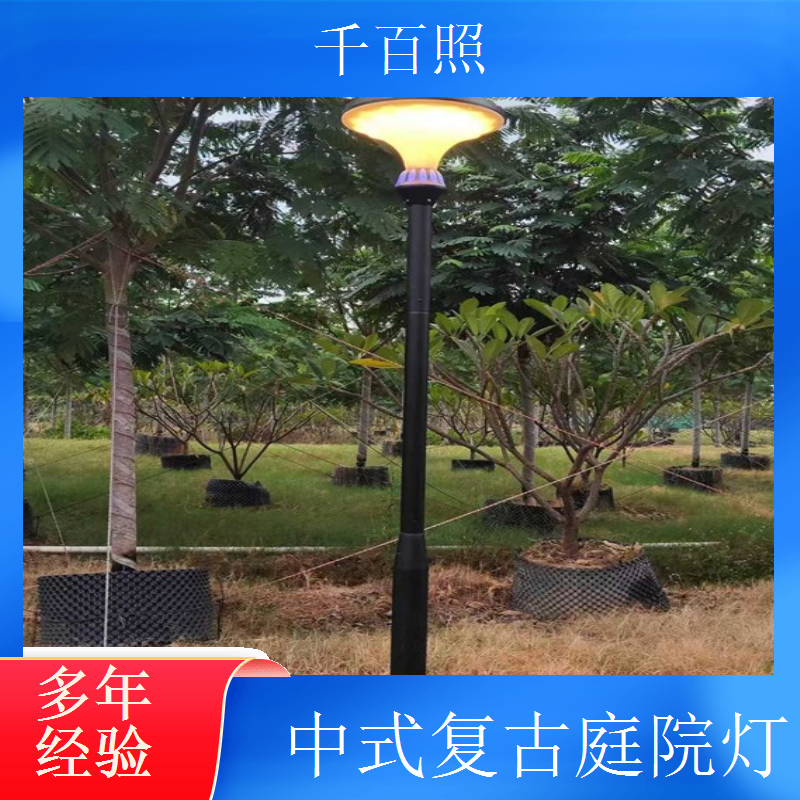 仿古庭院灯定制现代结合 中式复古庭院灯景区园林亮化千百照