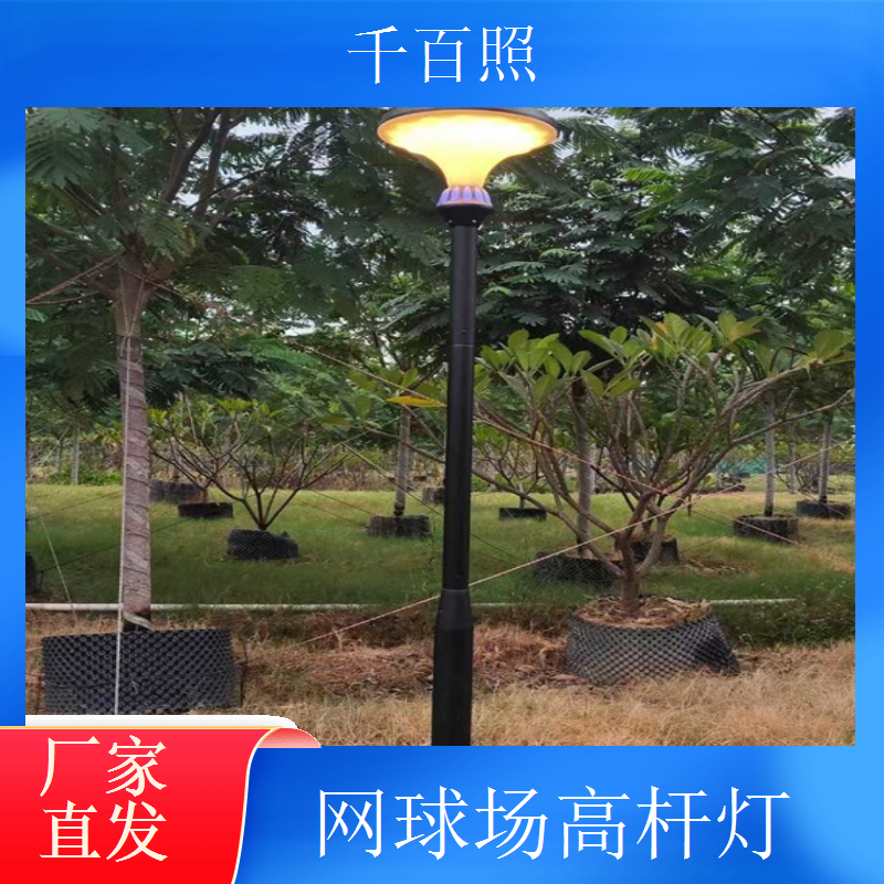 W球场高杆灯 中小球场专用LED照明灯千百照