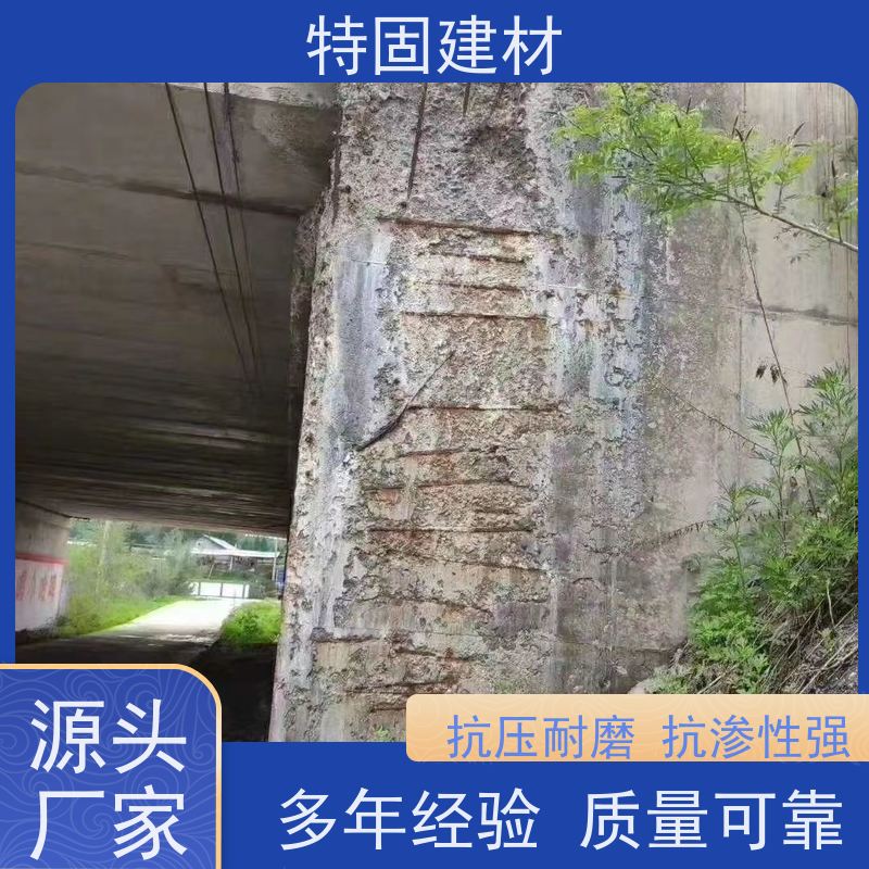 聚合物修补砂浆 适应性强 产地货源 常年供应 特固建材