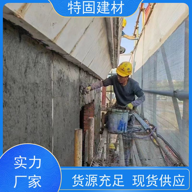 聚合物修补砂浆 流动性能强 产地货源 常年供应 特固建材