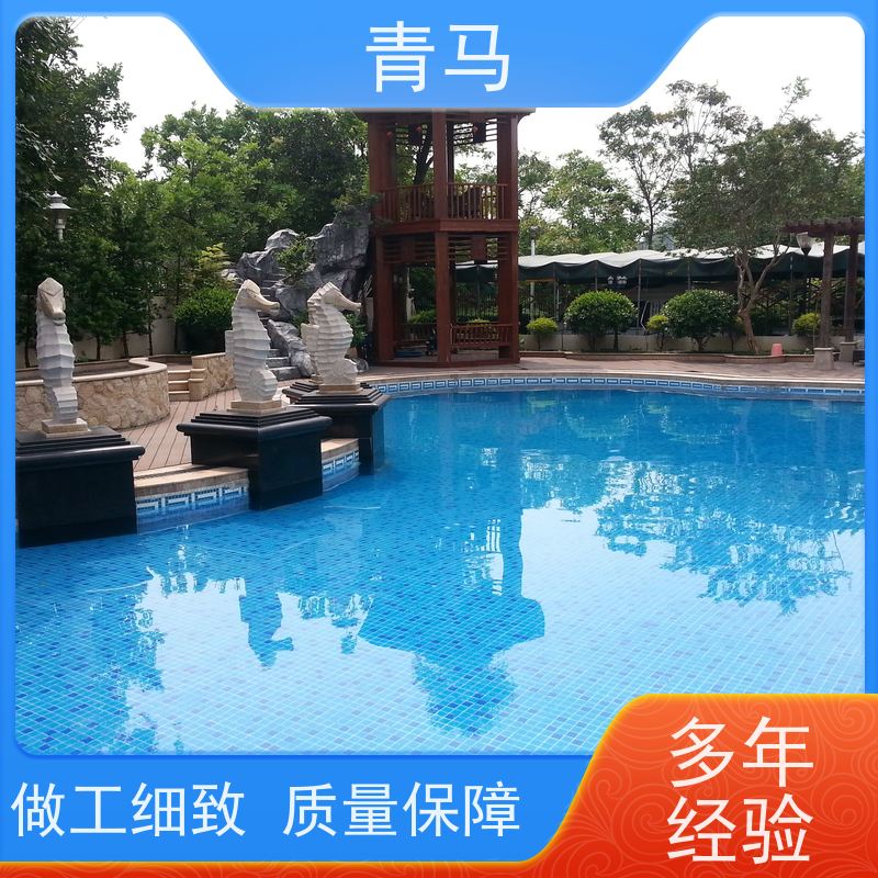 青马 豪华游泳池 适用于体育馆 按需定制 免费测量