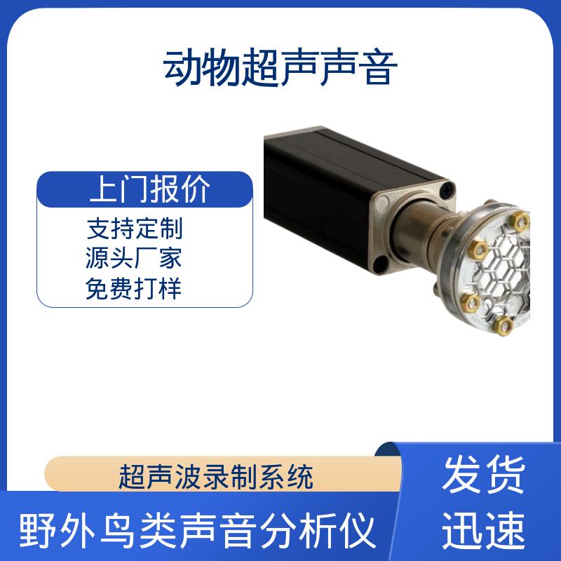 德国Avisoft 全向超声波麦克风 80 x 42 x 130 厂家供应 现货充足