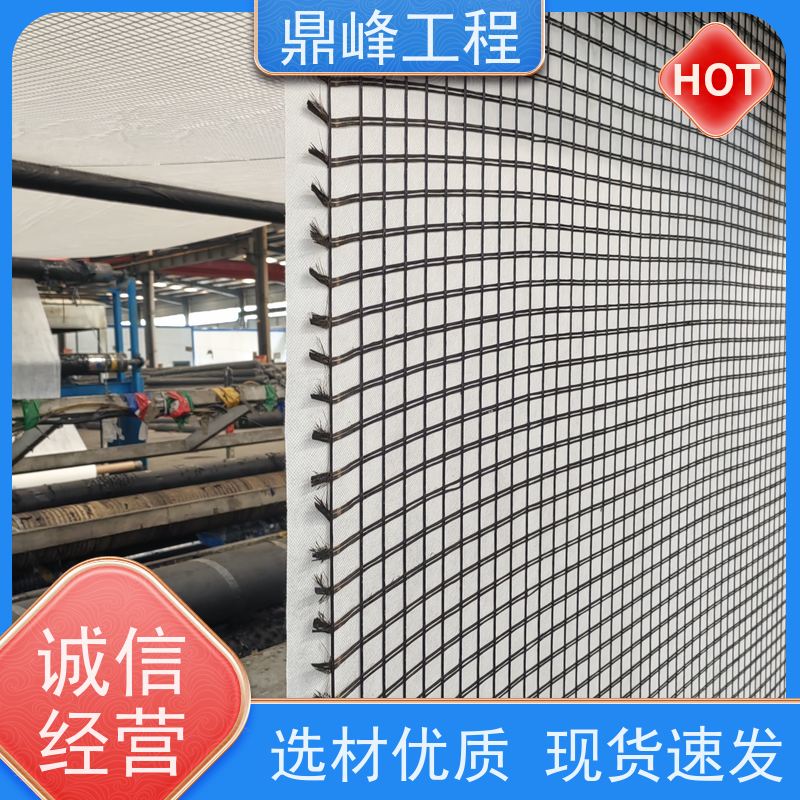 ega1*1玻纤土工格栅 承重能力强 厂家支持定制