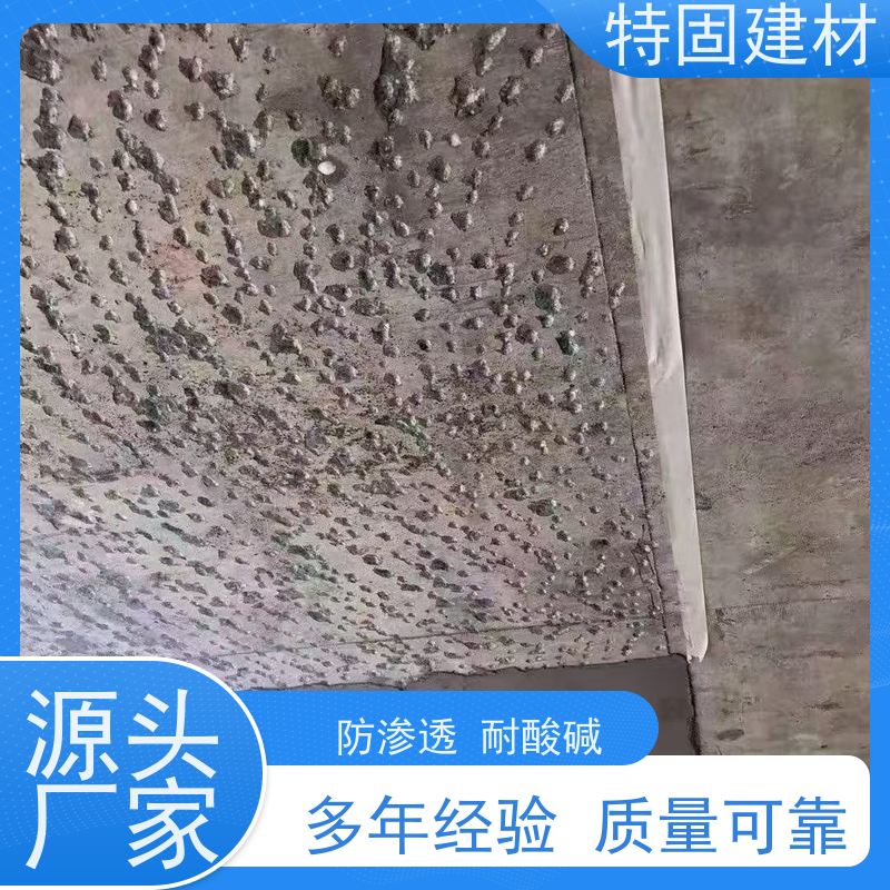高强环氧树脂砂浆 抗渗性强 厂家直供 特固建材