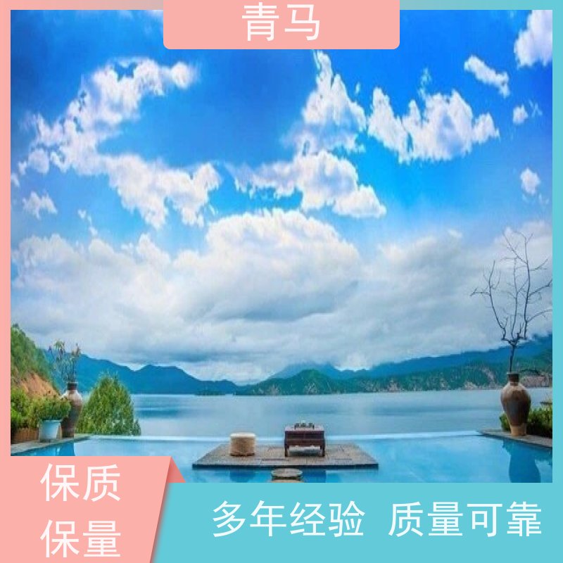 青马 温泉游泳池 适用于水上乐园 设计 施工 维护 一站式服务