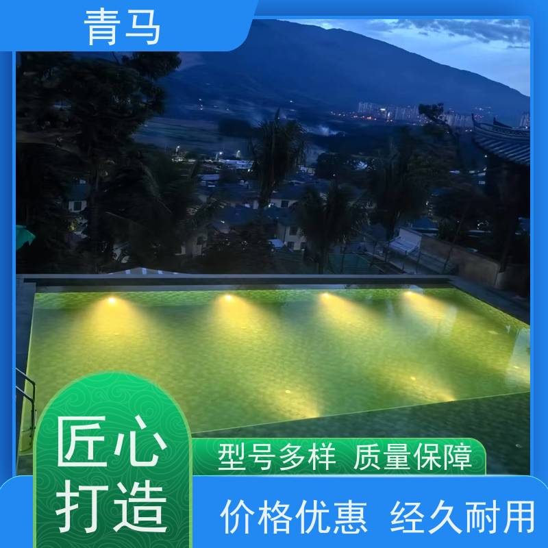 青马 私人游泳池 适用于健身俱乐部 现代简约 多种颜色