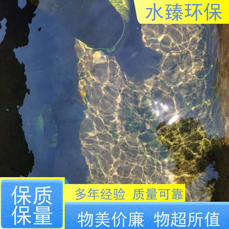 水臻环保 MBR设备 结实耐用 多年经验 适用于电镀厂污水处理