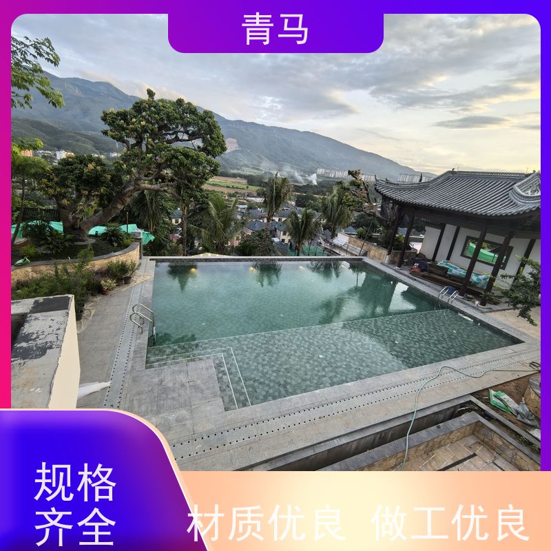 青马 别墅泳池 适用于健身俱乐部 设计 施工 维护 一站式服务