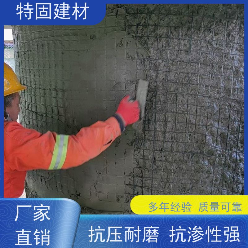 水性环氧树脂砂浆 高强度抗压 厂家直供 特固新型建材