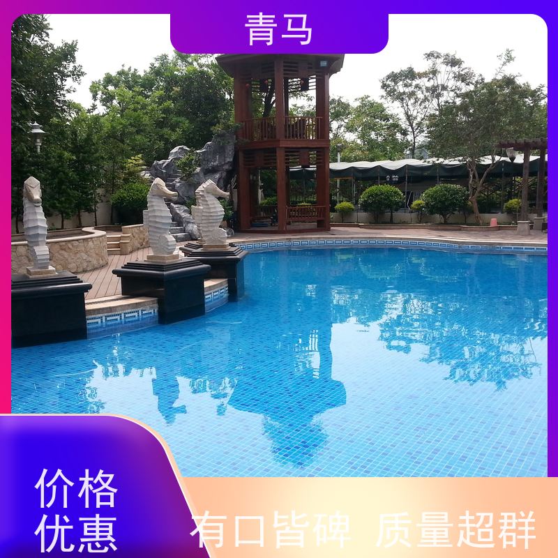 青马 水上乐园泳池 适用于别墅 现代简约 多种颜色