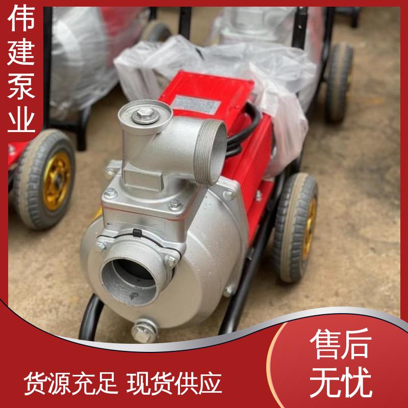 伟建供应 支持定制 高粘度泵 噪音小体积小 糖蜜糖浆卸车用
